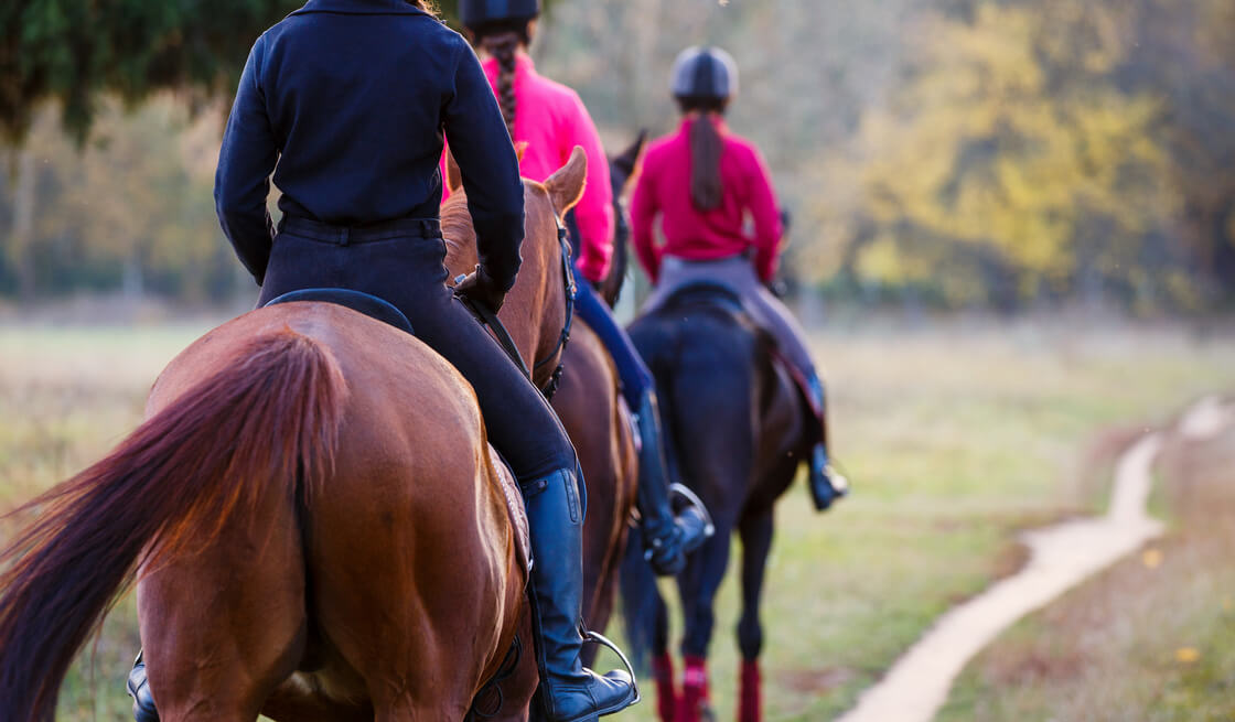 1 - Horseback Riding in the natural park of Barsento - Tedi Tour Operator