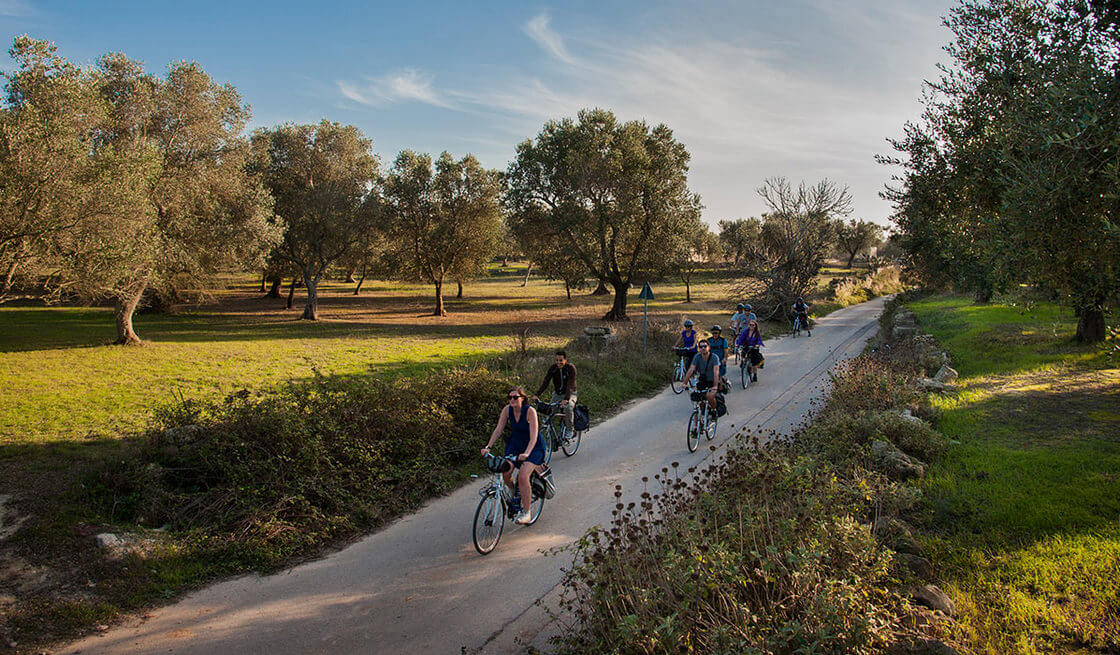 16 - Bike Tour in Valle d'Itria - Tedi Tour Operator