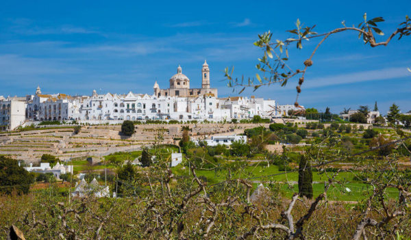 Tour Valle d'Itria (Locorotondo, Ostuni & Martina Franca) - Tedi Tour Operator