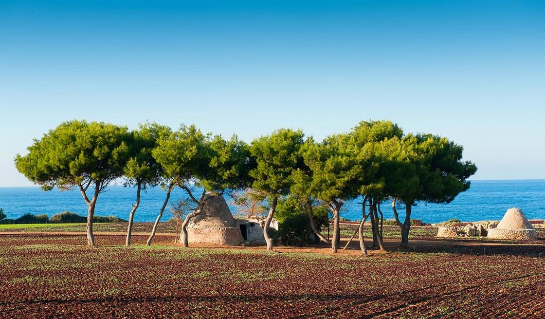 2 - Tour en Vespa entre mer et culture - Tedi Tour Operator