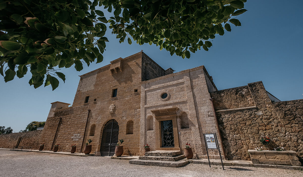 Tenuta Monacelli - Tedi Tour Operator