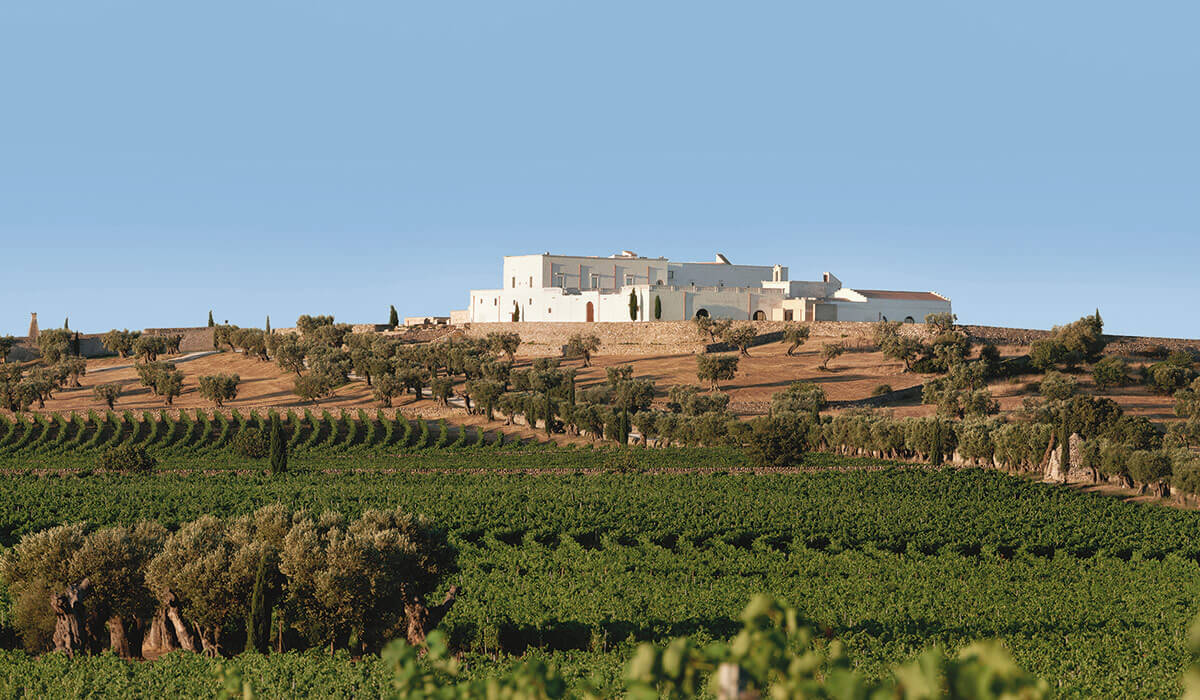 Masseria Amastuola Wine Resort - Tedi Tour Operator