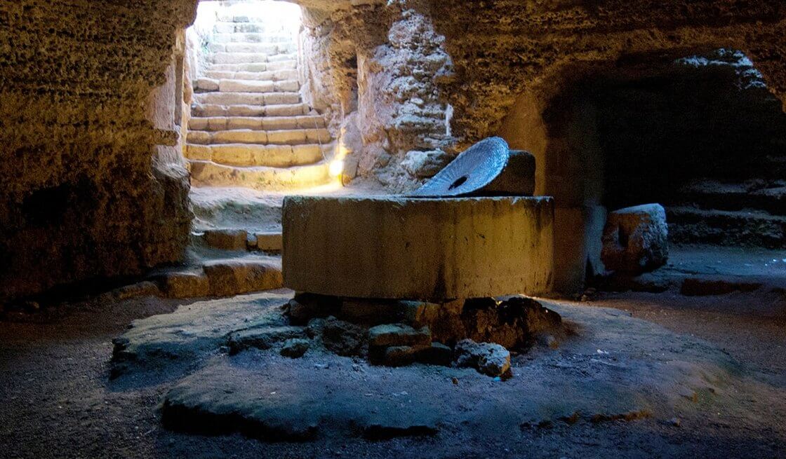 32 - Discovering the Hypogeum Oil Mill (Presicce) - Tedi Tour Operator