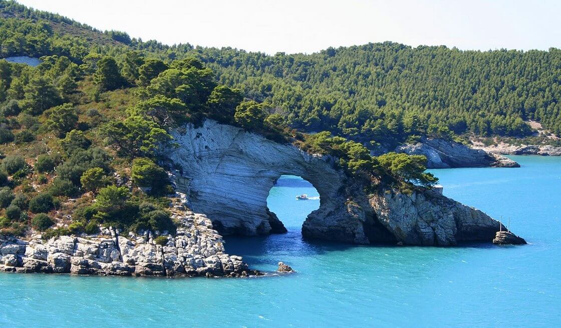 30 - Gargano Tour (Vieste & Foresta Umbra) - Tedi Tour Operator