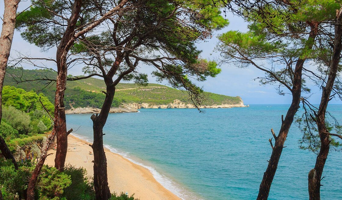 Tour Gargano (Vieste & Foresta Umbra) - Tedi Tour Operator