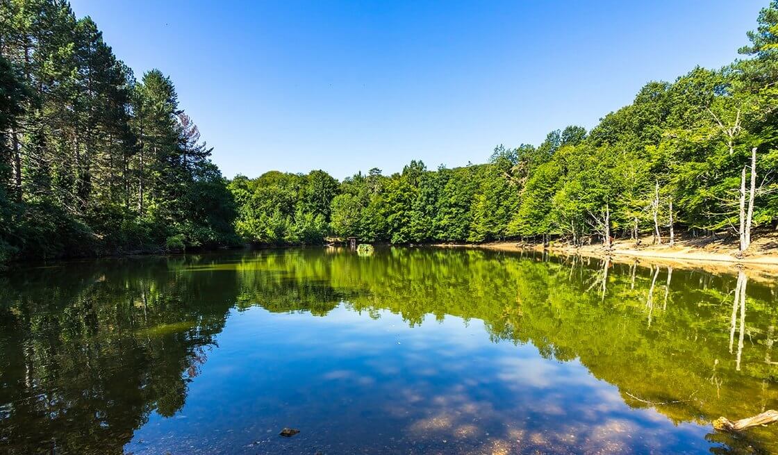 Tour Gargano (Vieste & Foresta Umbra) - Tedi Tour Operator