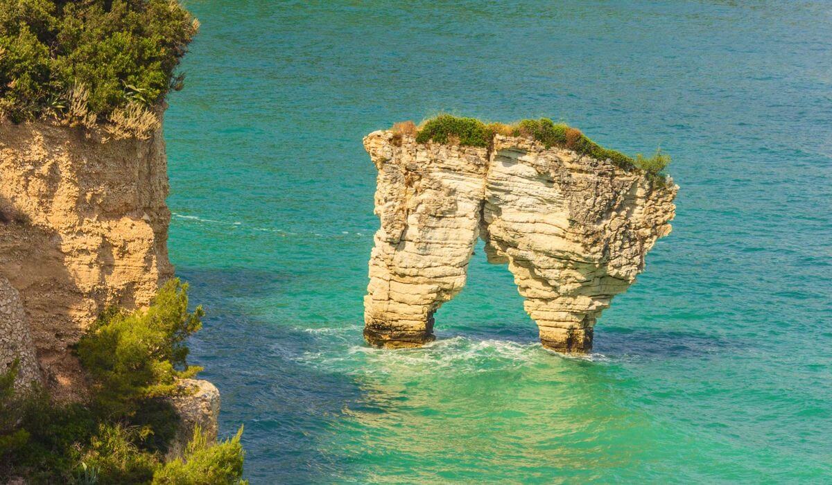 Tour Gargano (Vieste & Foresta Umbra) - Tedi Tour Operator