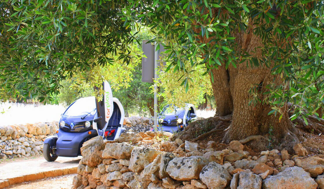 37 - Se promener avec Twizy - Tedi Tour Operator