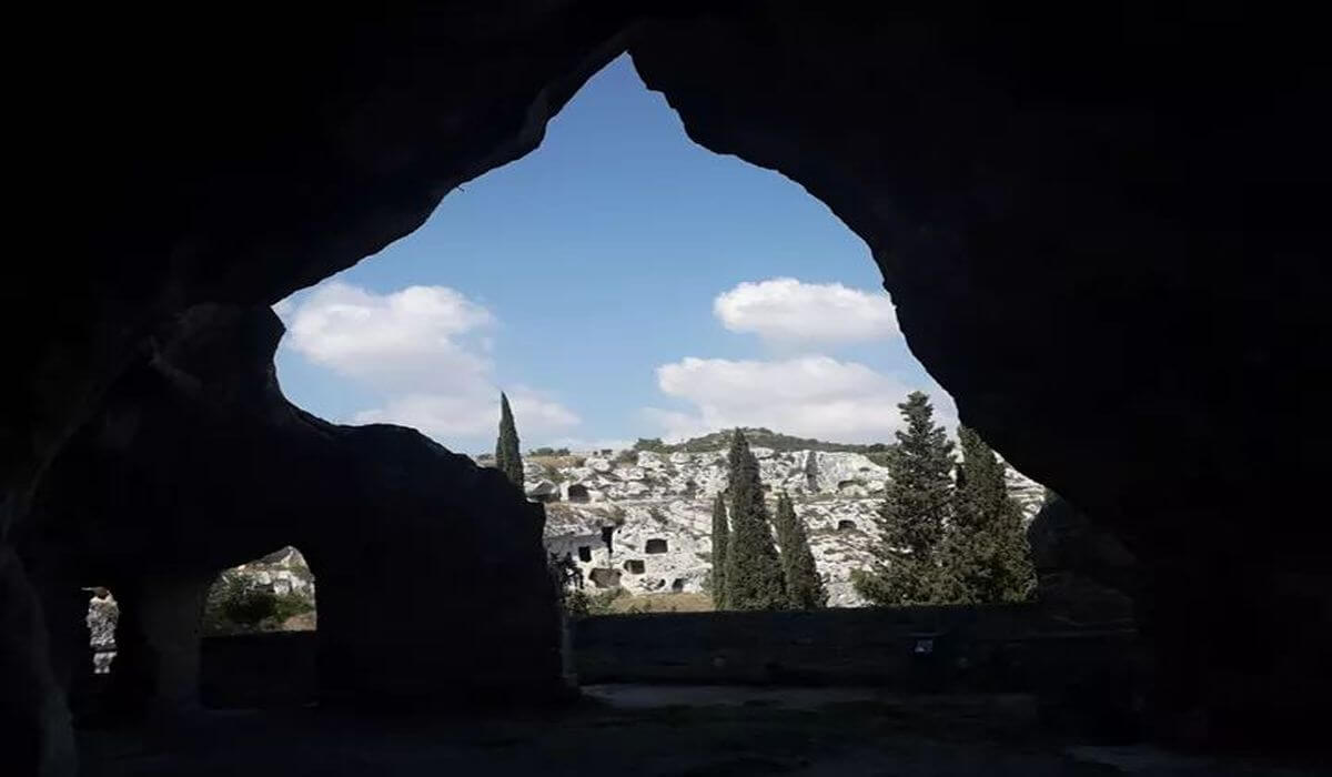 Gravina e tour di una cantina - Tedi Tour Operator