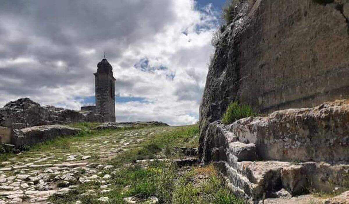 Gravina e tour di una cantina - Tedi Tour Operator