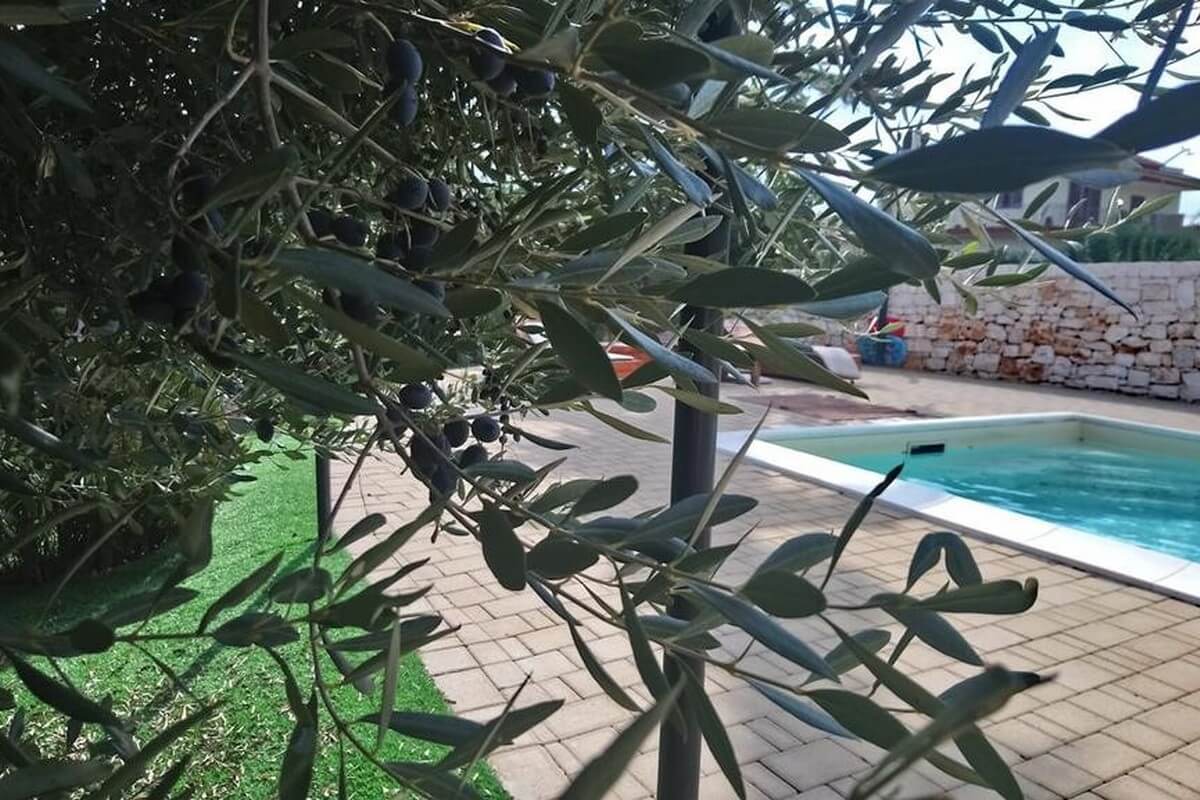 Villa Privata con piscina, Castellana Grotte, Puglia - "Villa Salice"